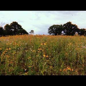 Meet your Posher, Leigha